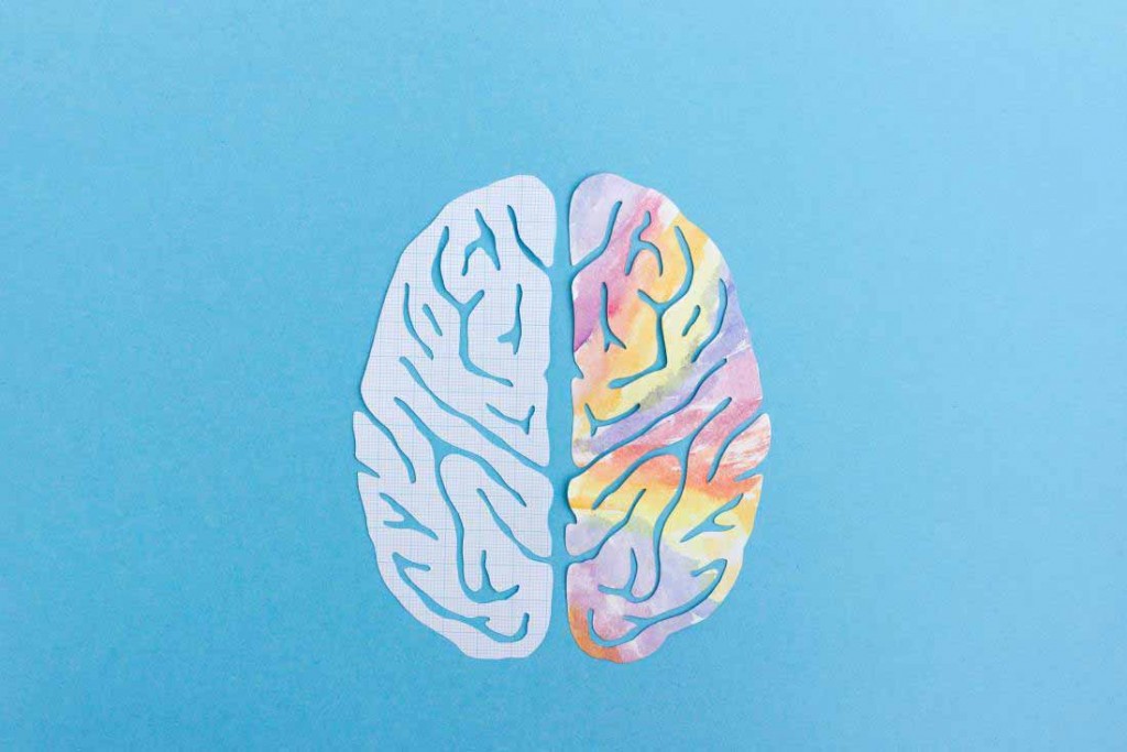 Left brain and right brain hemispheres represented by illustration with plain and colorful sides of brain on blue background.jpg