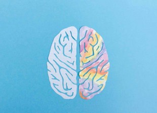 left-brain-and-right-brain-hemispheres-represented-by-illustration-with-plain-and-colorful-sides-of-brain-on-blue-background.jpg