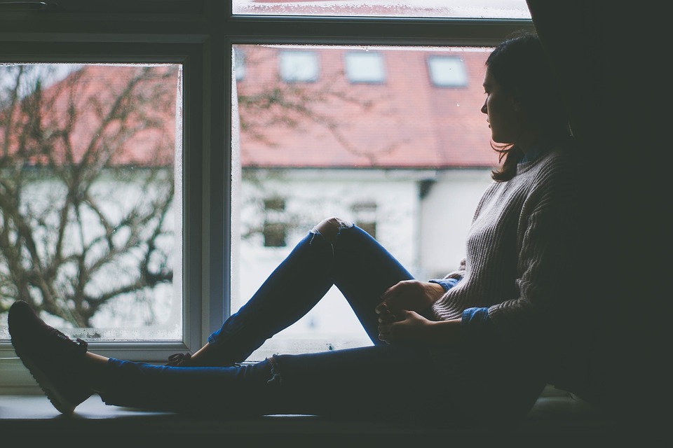 Window view 1081788 960 720 1.jpg